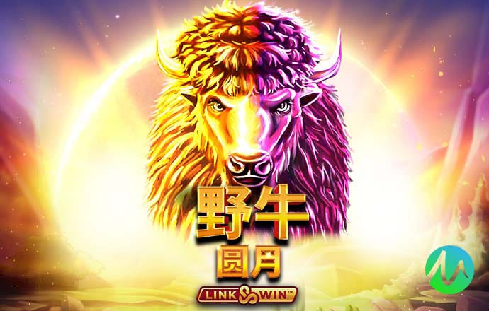 新黄金城XHJC667722